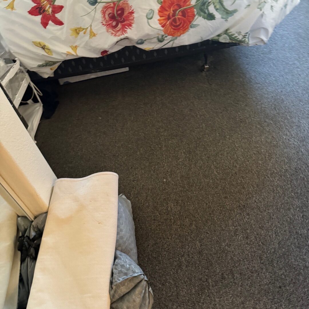 Dependable House Cleaning near me in Mesa, AZ with eco-friendly solutions